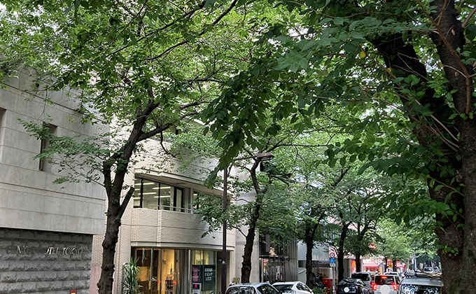 さくら国際法律事務所